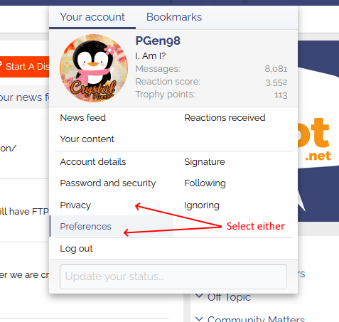 Click on Preferences